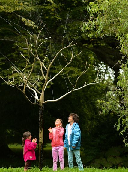 les trois enfants se laissent mouiller par l'arbre de cristal...en quête de sagesse ?